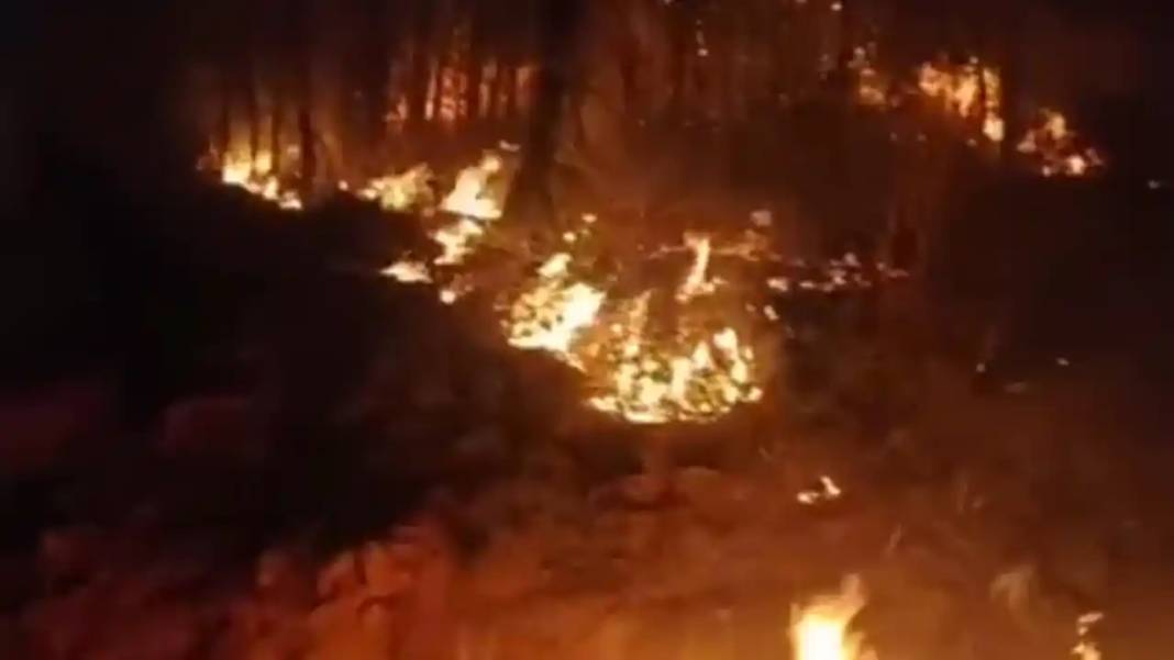 Gazipaşa’da Orman Yangını Korkuttu 1